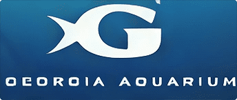 Georgia Aquarium