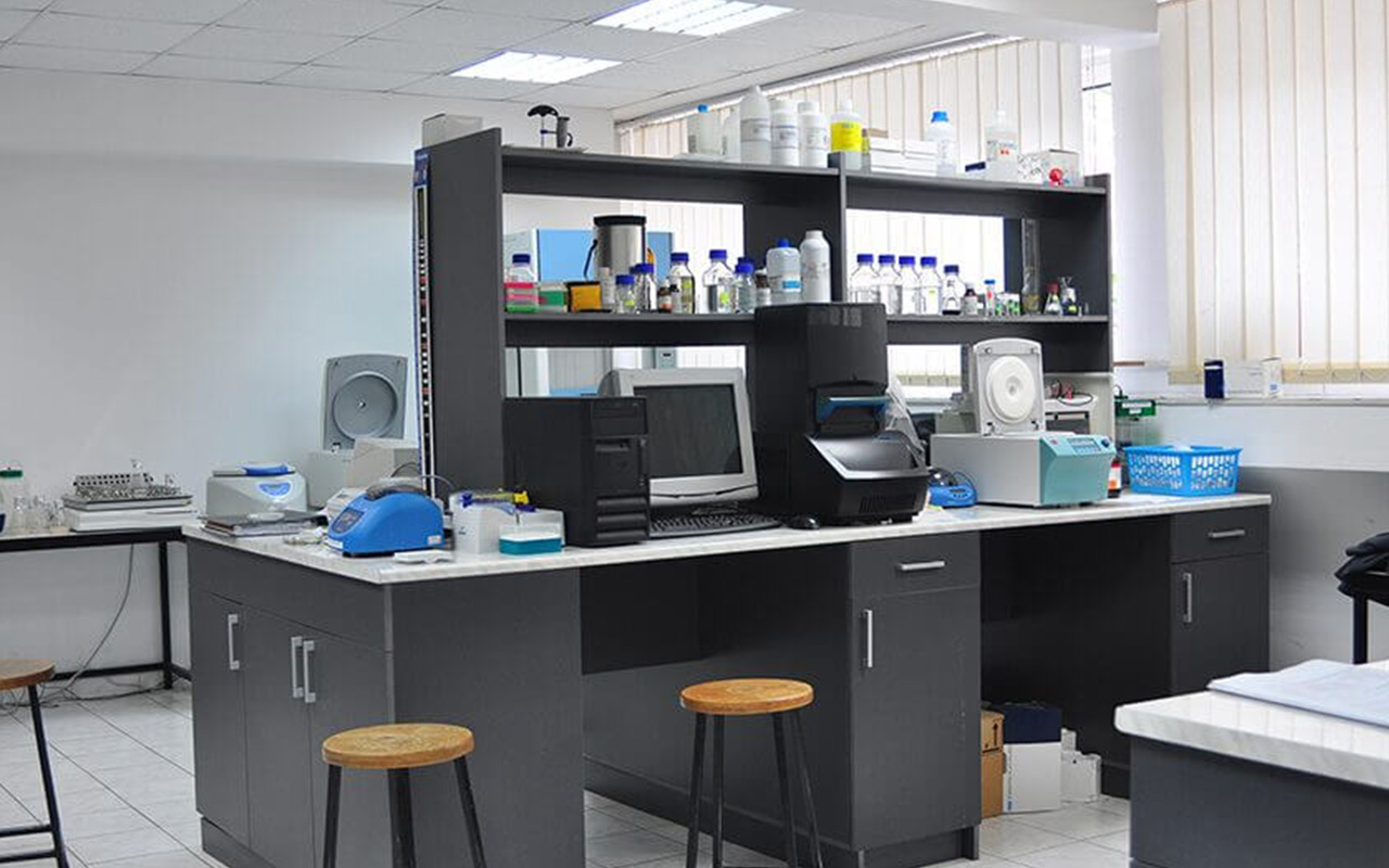 Laboratory Countertops: Choosing The Best Option