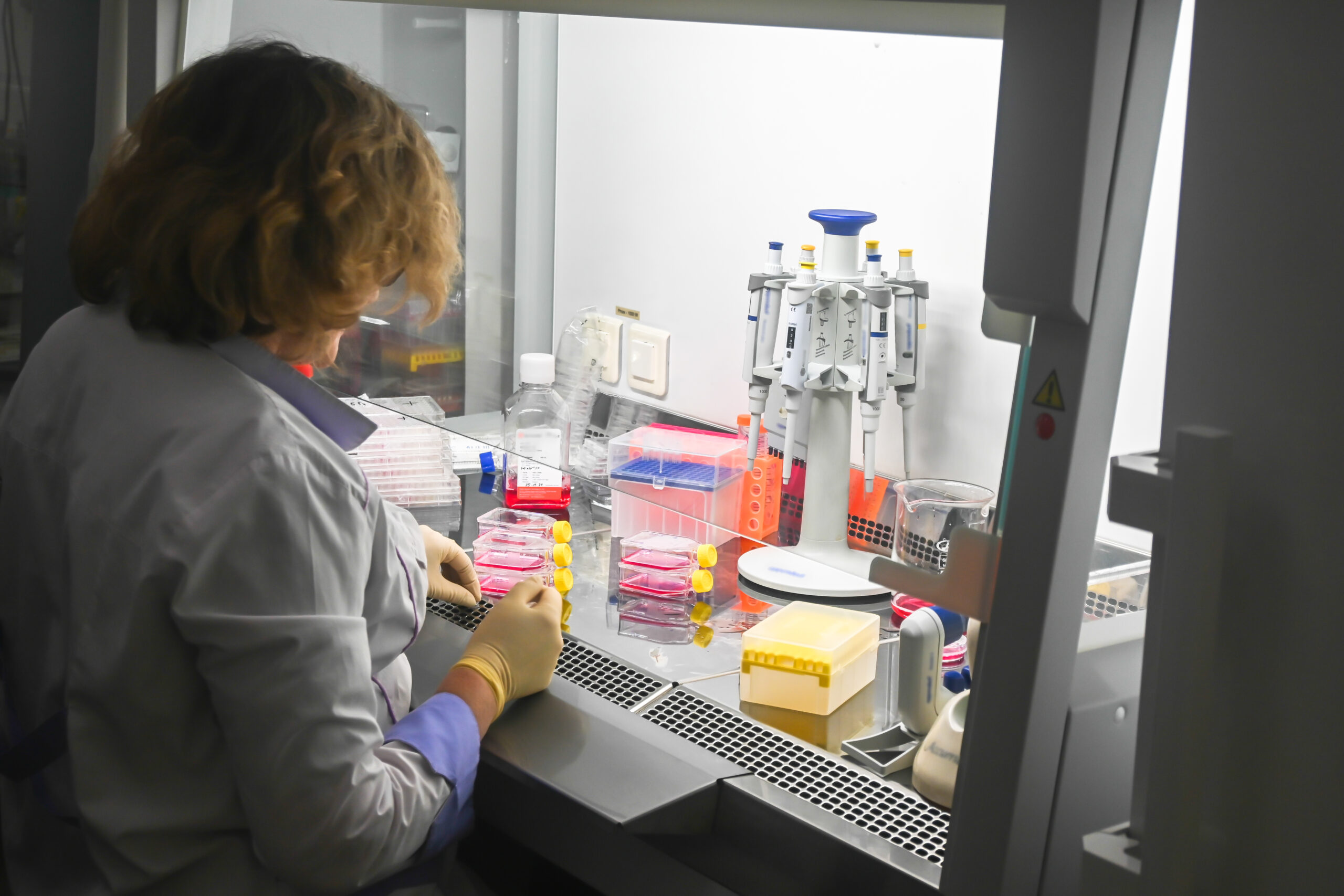 In the scientific biological laboratory. Modern scientific research in biology.