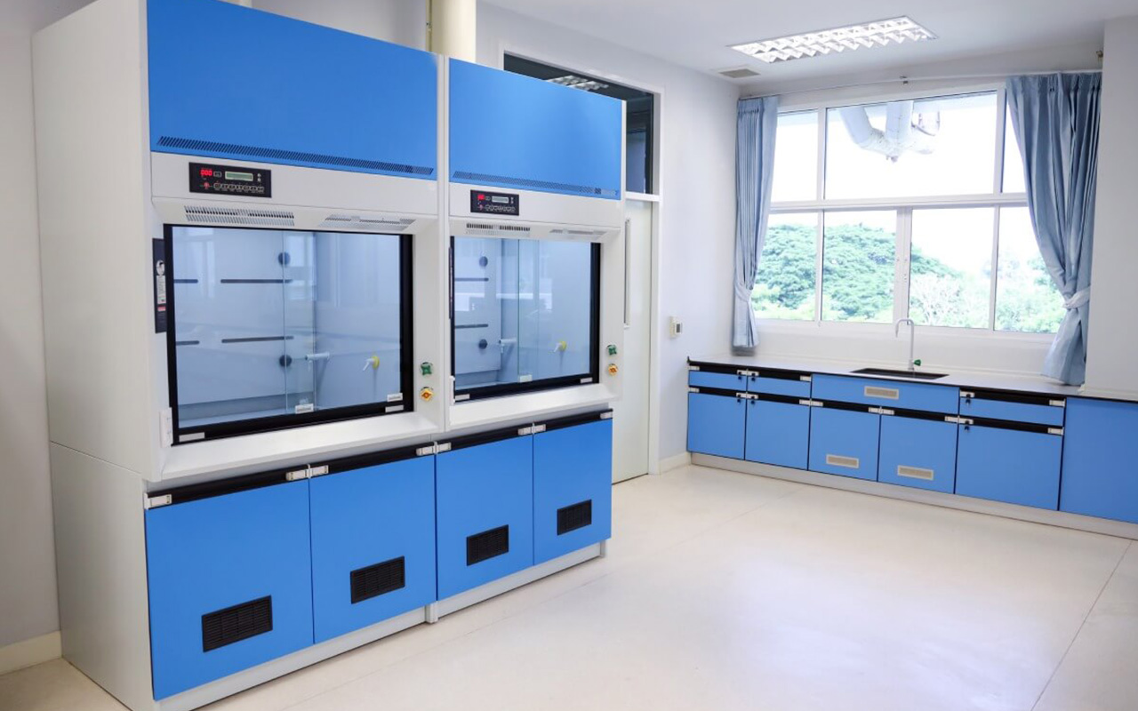 Walk-In Fume Hood: Features And Benefits Explained
